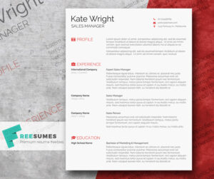 elegant resume design